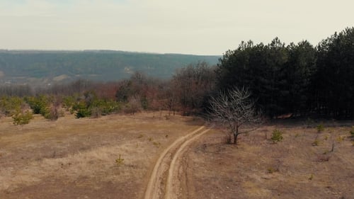 Flight Over the Path That Leads Down the Hill To the Forest and Village in Ravine. Yellow Faded