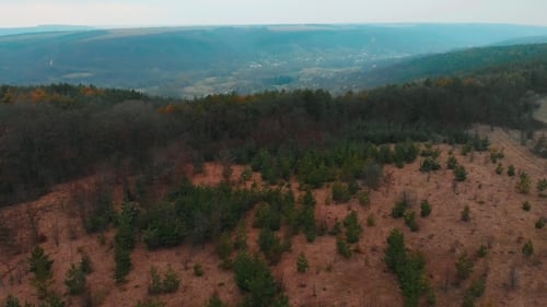 Aerial View From Drone of Forest with Green Trees. Shot Over the North European Wood. Small
