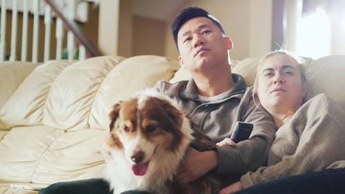 Couple Relaxing with Dog on Couch at Home