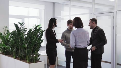 Professionals Meeting in a Modern Office Space