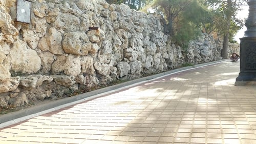 Girl on Skateboard on Brick Urban Path