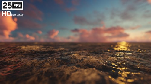 Flying Through Sea 03 HD