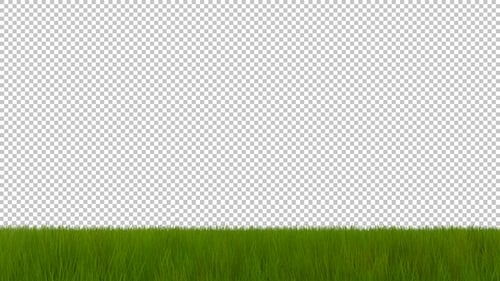 Grass-Grenze