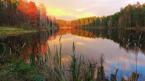 Beautiful Forest Lake at Majestic Sunset