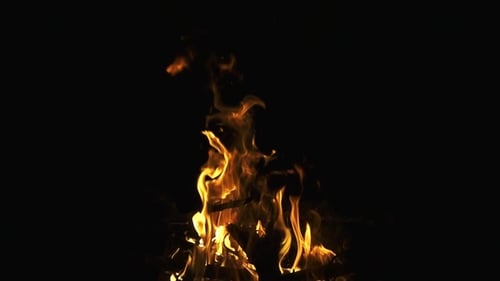 Brennendes Feuer auf schwarzem Hintergrund,