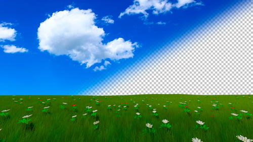 Grass And Flowers Field