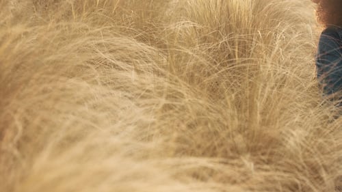 Black Mixed Race Woman with Big Afro Curly Hair in Lawn Field with High Dry Autumn Hay Grass and
