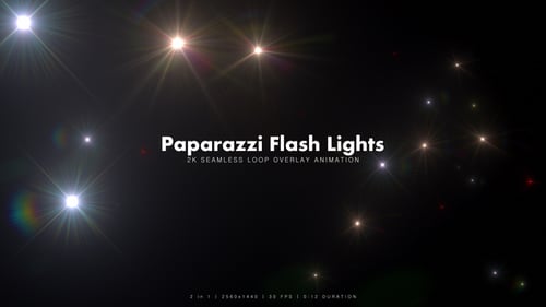Paparazzi Flash Lights 4