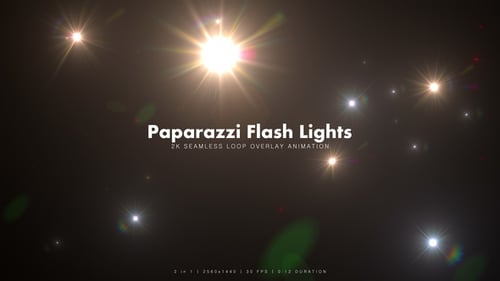 Paparazzi Flash Lights 3