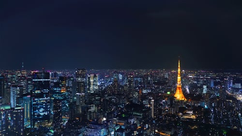 Tokyo Night Skyline