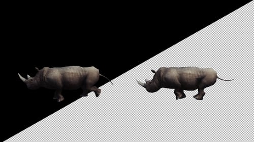 3D Animated Rhinoceros Walking Loop