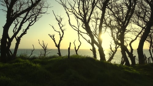 Ocean Coast and Beautiful Sea Sunset in Windy Weather