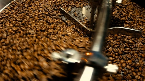 Coffee Beans