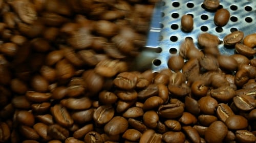 Close up of coffee beans being spun