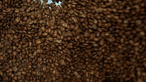 Coffee Beans