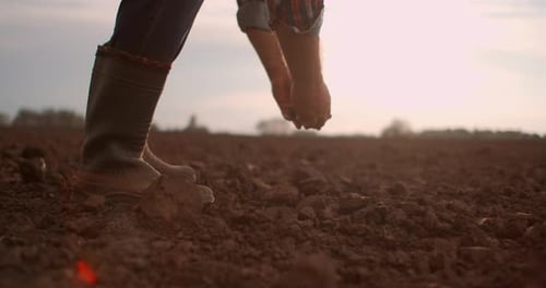 Farmer Inspecting Soil in a Rural Field