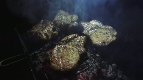 Auf Feuer gebratenes Fleisch Barbecue auf dem Grill. Street Food,.