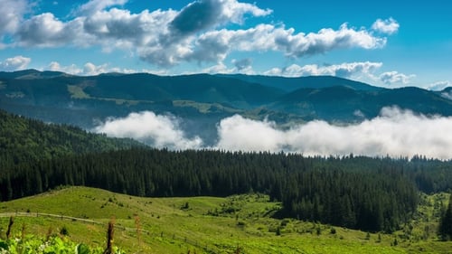 Misty Morning in the Mountains