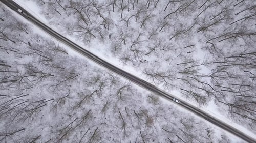 Car Driving Through Winter Forest Road.