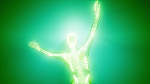 Glowing Human Skeleton Medical Anatomy Scan Visualization