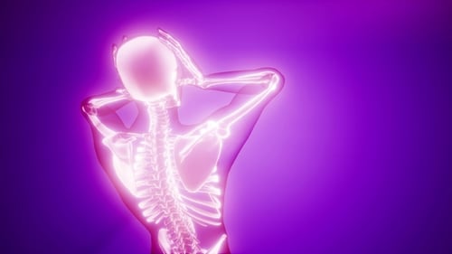 Futuristic Human Anatomy Scan: Medical Visualization