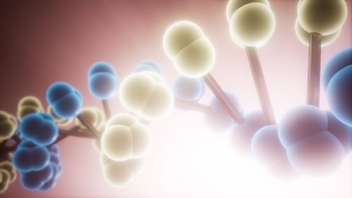 DNA Model Rotate