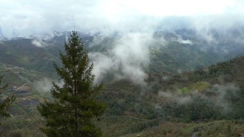 Early Foggy Morning in the Alps