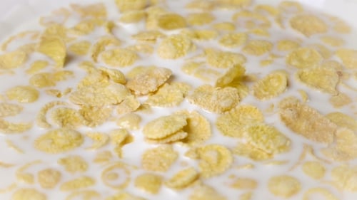 Cornflakes Falling into Milk in Slow Motion