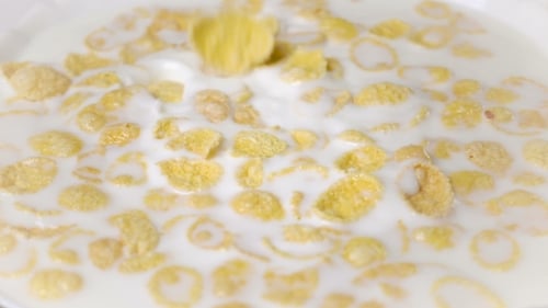 Cereal Flakes Pouring into Milk in Slow Motion