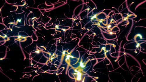 Abstract Glowing Fluid Lines Motion Background