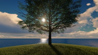 La nature