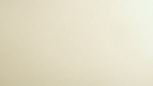 Assorted Colorful Pills in Blister Packs