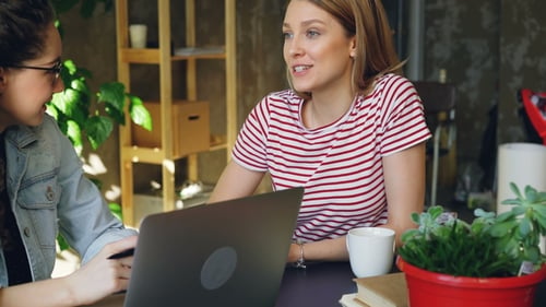 Junge Unternehmerinnen sitzen zusammen am Tisch und sprechen emotional. Frauen tragen
