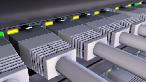 Ethernet Cables Plugged into Network Switch with Blinking Data Lights