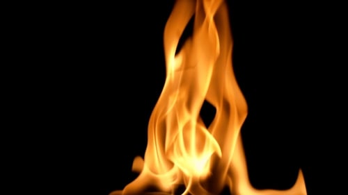 Intense Close Up of Fire Flames on Black