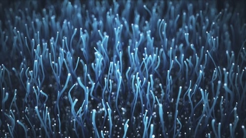 Distribution of the Light Signal From a Diode Towards a Bunch of Optical Fibers.