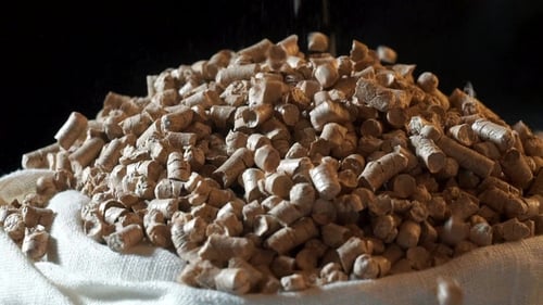 Pellets Are Falling Off, the Background