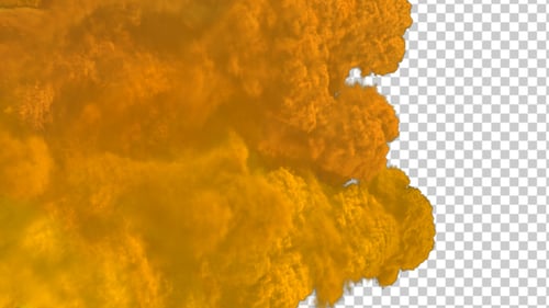 Vibrant Holi Powder Burst Transitions