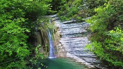 From the Forest Above the Waterfall