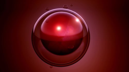 Girar divisão celular