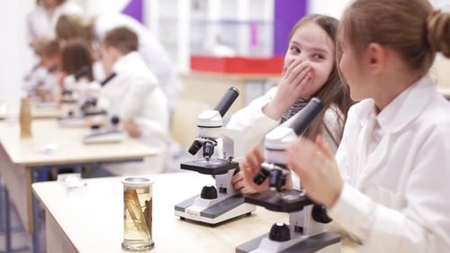 Modern Biology Lesson in Elementary School