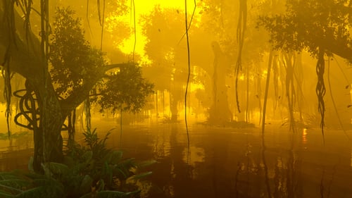 Golden Misty Forest and Water with Falling Leaves