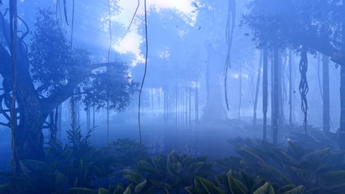Trees In The Rainforest