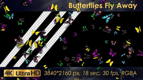 Schmetterlinge fliegen weg