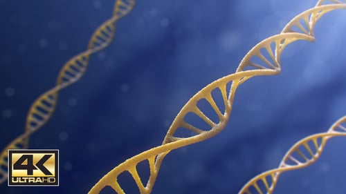 Dynamic 3D DNA Double Helix Strands for Science and Medical Projects