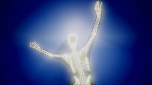 Animated Glowing Human Skeleton Anatomy Medical Scan