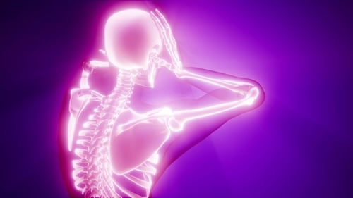 Human Bones Radiographic Scan