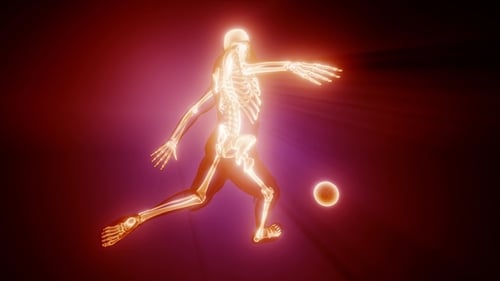 Soccer Game Player