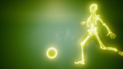 Soccer Game Player
