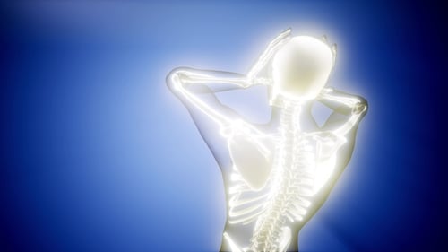 Human Bones Radiographic Scan